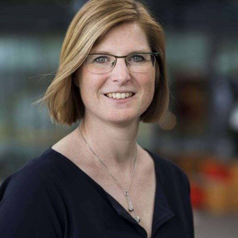 Liesbeth Varion-Verhagen